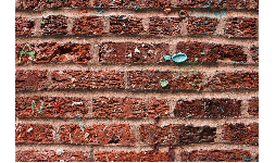 Quita Chicles Lustre Quiter