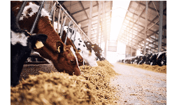 Distribución de productos químicos para fabricación de alimentos para animales