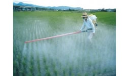 Acido azotico (acido nitrico) - Químicos Fertilizantes y Solventes