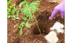 Sales de epsom - Químicos Fertilizantes y Solventes