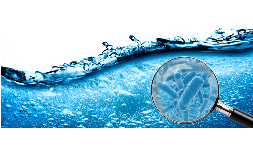 Bactericidas para sistemas base agua