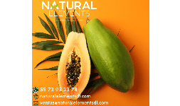 Papaya Natural en polvo