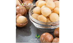 Nuez de macadamia pelada