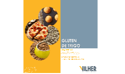 Gluten de trigo - Empresas Vilher