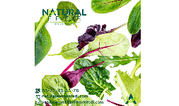 Verduras en polvo naturales