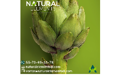Alcachofa natural