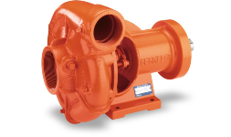 Bombas centrifugas Berkeley B3JRMBM