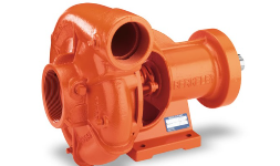 Bombas centrifugas Berkeley B1-172ZRL