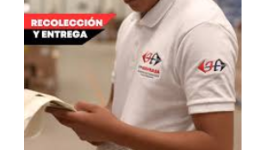 Recolección de devoluciones a detalle