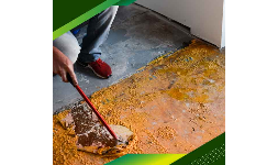 Removedores de pintura Remover PE
