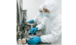 Encapsulado de suplementos alimenticios nutricionales en polvo