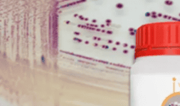 Agar cromogénico Chromagar Vibrio para Mazatlán Sinaloa