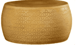 Queso parmesano madurado en rueda