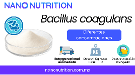 Bacillus coagulans Probiótico esporuladocon diferentes concentraciones de UFC/g