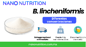 Bacterias probioticas Bacillus licheniformis en polvo