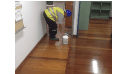 Pinturas resistentes a la humedad Ultrawood Poliuretano Aqua