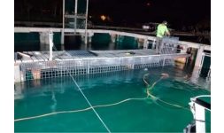 Rejillas de plástico Industrial