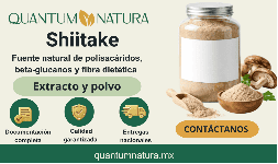 Shiitake extracto en polvo