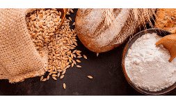 Gluten vital de trigo Gluten y Almidones
