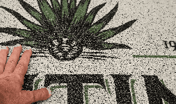 Tapetes de entrada publicitarios