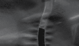 Charolas con divisiones de poliestireno