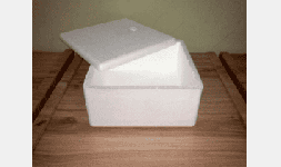 Cajas térmicas de poliestireno expandido