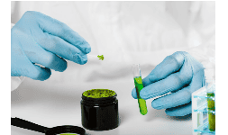 Cloruro niqueloso - Galvanoquímica® Mexicana