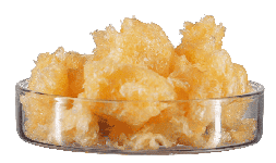 Lecitina de Soya