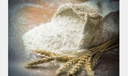 Gluten y Almidones modificados