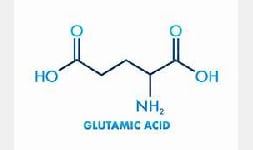 ACIDO GLUTAMICO