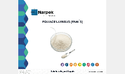 Poliacrilamidas (PAM'S)