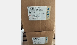 Tiamina (vitamina B1)