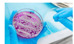 Laboratorios de análisis de alimentos acreditados EMA en Baja California