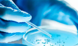 Laboratorios de análisis de alimentos acreditados EMA en Tabasco