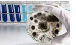 Laboratorios de análisis de alimentos acreditados EMA en BCS