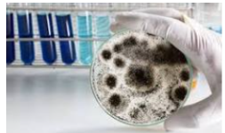 Laboratorios de análisis de alimentos acreditados EMA en Durango