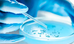 Laboratorios de análisis de alimentos acreditados EMA en Querétaro