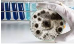 Laboratorios de análisis de alimentos acreditados EMA en el Estado de México