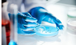 Laboratorios de análisis de alimentos acreditados EMA en Yucatán