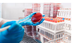 Laboratorios de análisis de alimentos acreditados EMA en SLP (San Luis Potosí)