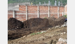 Waste - compost