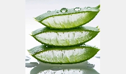 ONAX ALOE BF