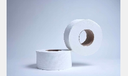 Papel Higiénico Junior Institucional Caja con 12 Rollos Sanisol