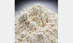 Yogurt Natural en Polvo