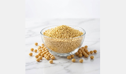Lecitina de soya