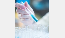 Pólizas de Servicios para Cromatógrafos de Gases y HPLC