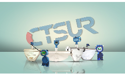 Medidores de caudal tipo másicos CTSUR