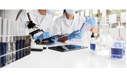 Servicios de cromatografia: pólizas