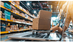 Transportadores de gravedad con ruedas para marketplace