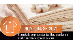 Normas oficiales mexicanas NOM-004-SE-2021